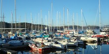 Grand Harbor Marina at Pickwick