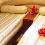 Princess V50