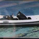 Stingher 32