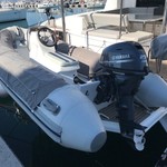 Leopard 50