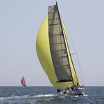 Pogo 36