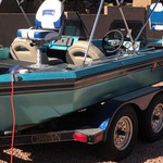 Bass cat 20