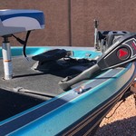 Bass cat 20