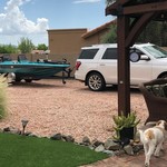 Bass cat 20