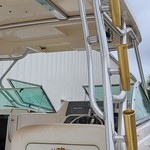 Wellcraft 290 Coastal