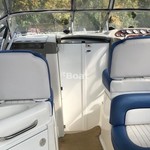 Bayliner 305