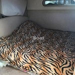 Bayliner 305