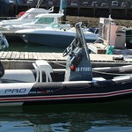 Zodiac Pro 5.5