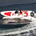 Lomac adrenalina 7.5