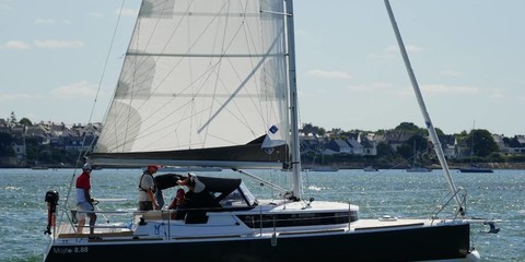 Mojito 888