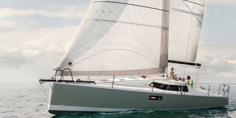 Pogo 36