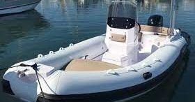 Predator 650 TS