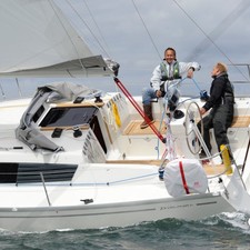 Delphia 31