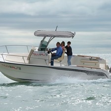 Ocqueteau Ostrea 800