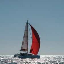 Neel 43