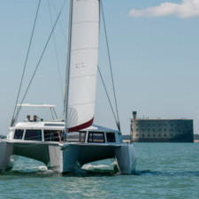 Neel 43