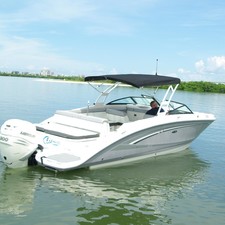 Sea Ray Bow Rider SDX 270