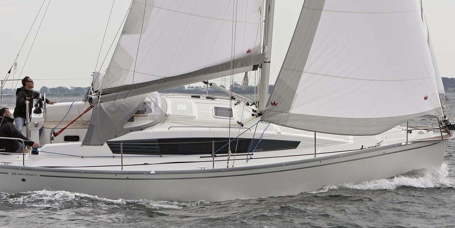 Delphia 31