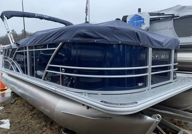 Sylvan 8520 Party Fish