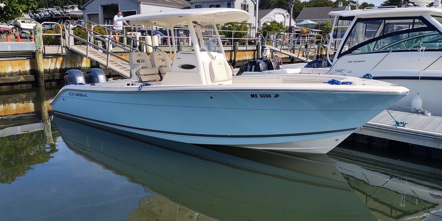 Cobia 262