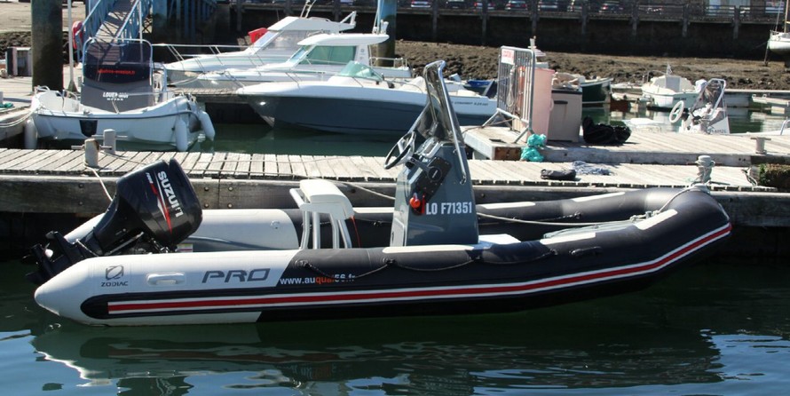 Zodiac Pro 5.5